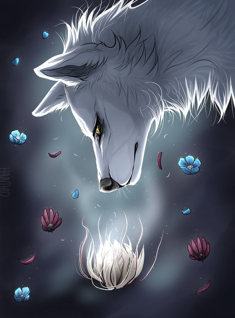 Грустный белый волк арт