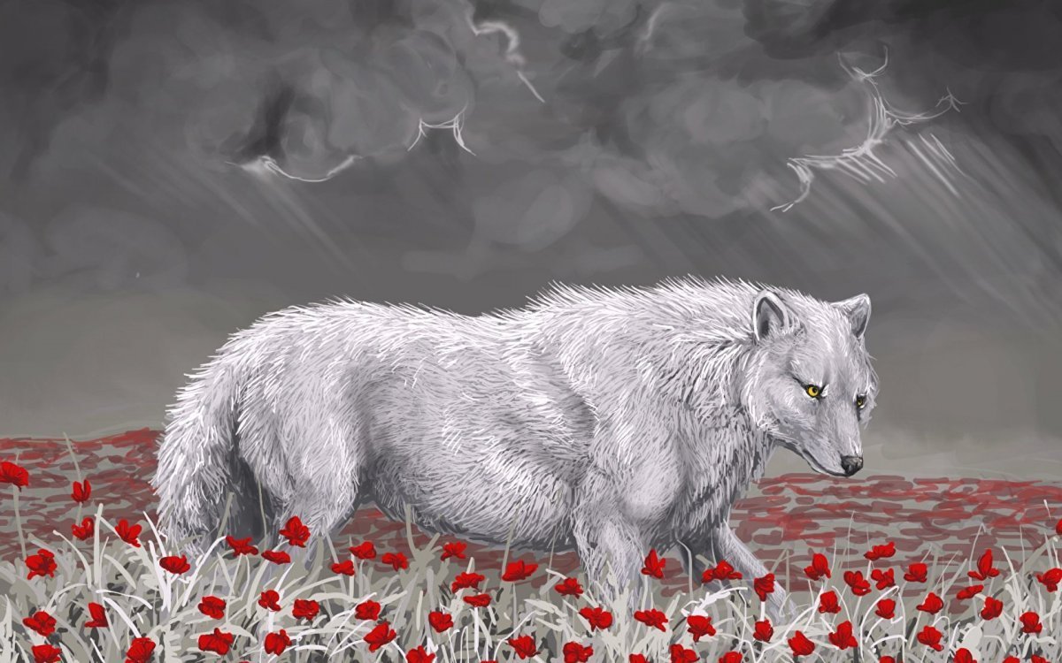 Раненый белый волк арт
