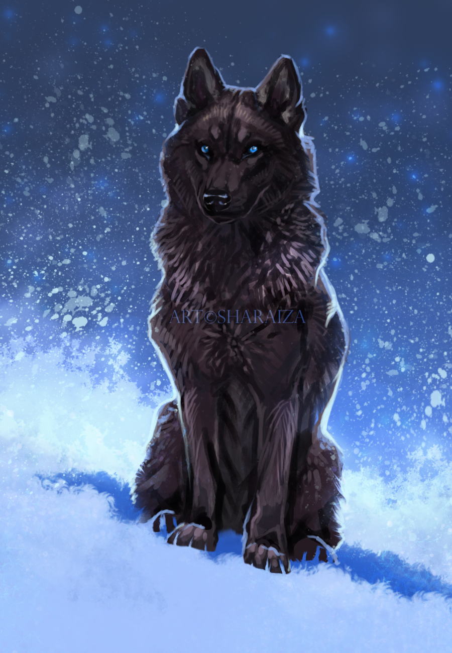 Черный волк с белыми глазами арт