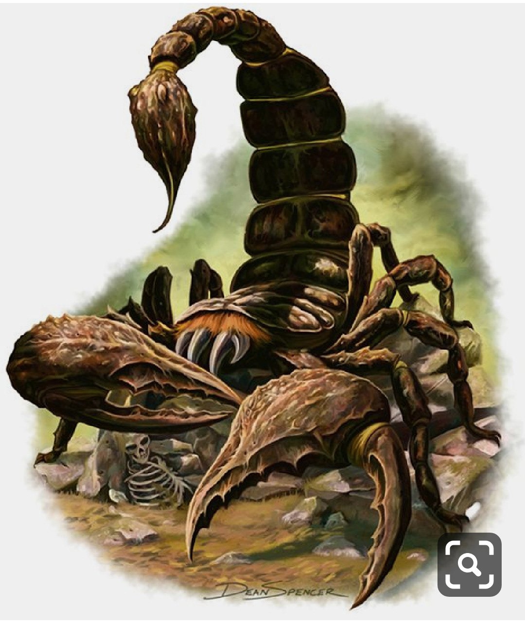 Большой Скорпион арт