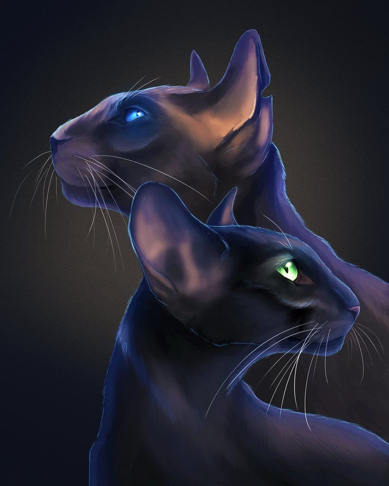 Ориентальная черная кошка арт