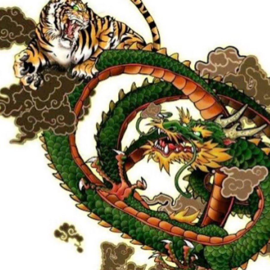 Обезьяна тигр змея. Дракон и Тайгер. Тигр и дракон. Китайский дракон. Дракон и тигрица.