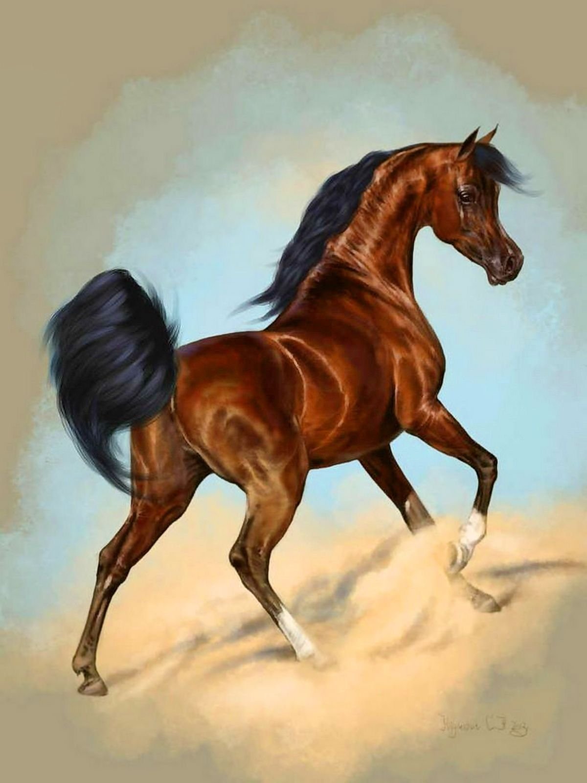 Арабский конь арт