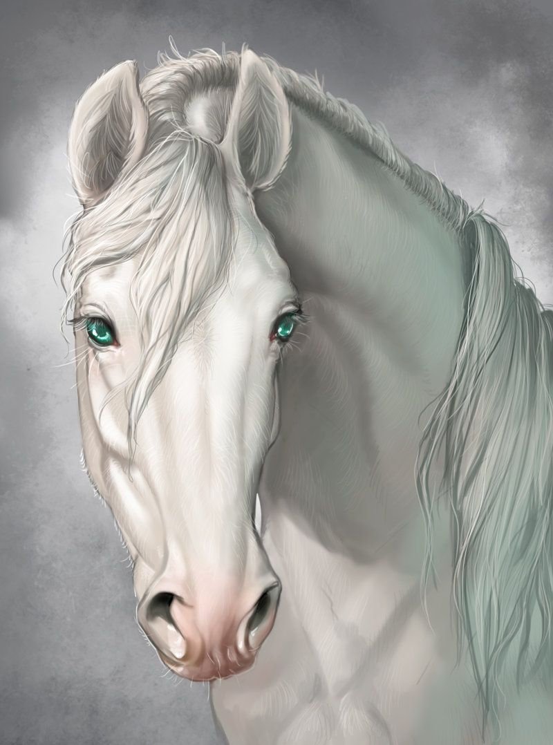 Белый конь арт