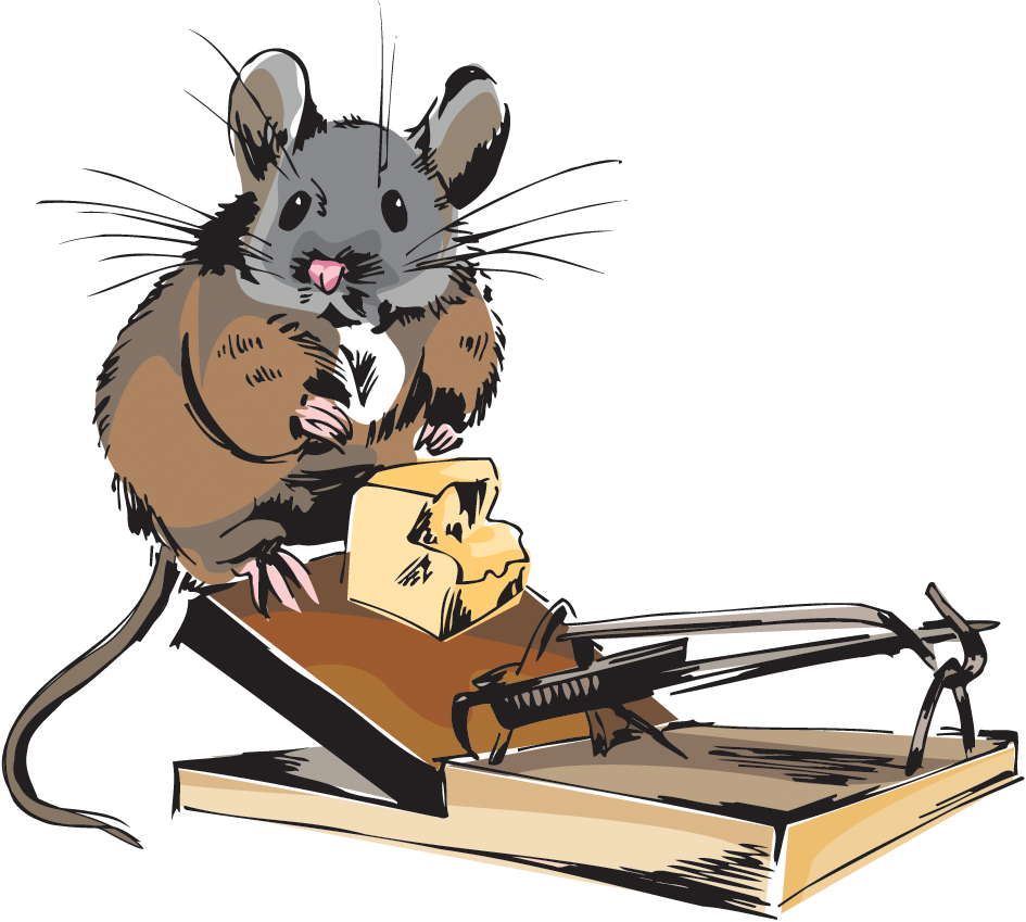 Мышка в мышеловке. Мышь в мышеловке с сыром. Мышь сыр мышеловка.