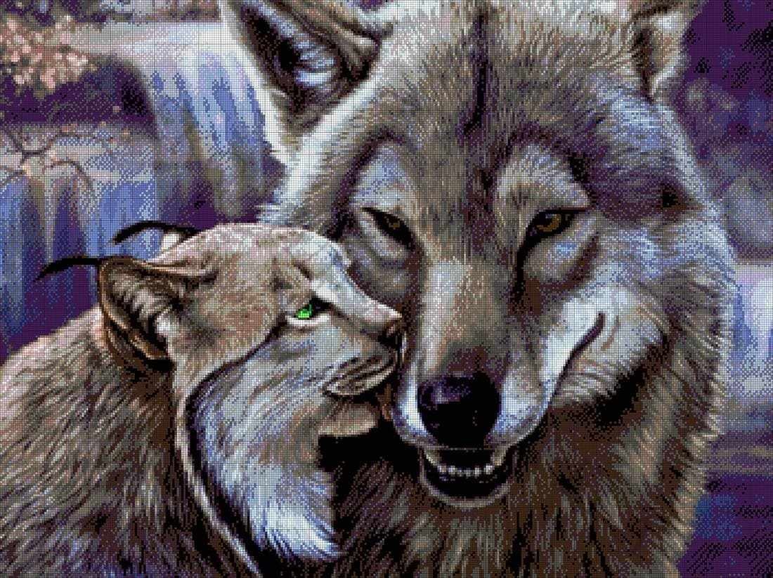Волк и Рысь арт