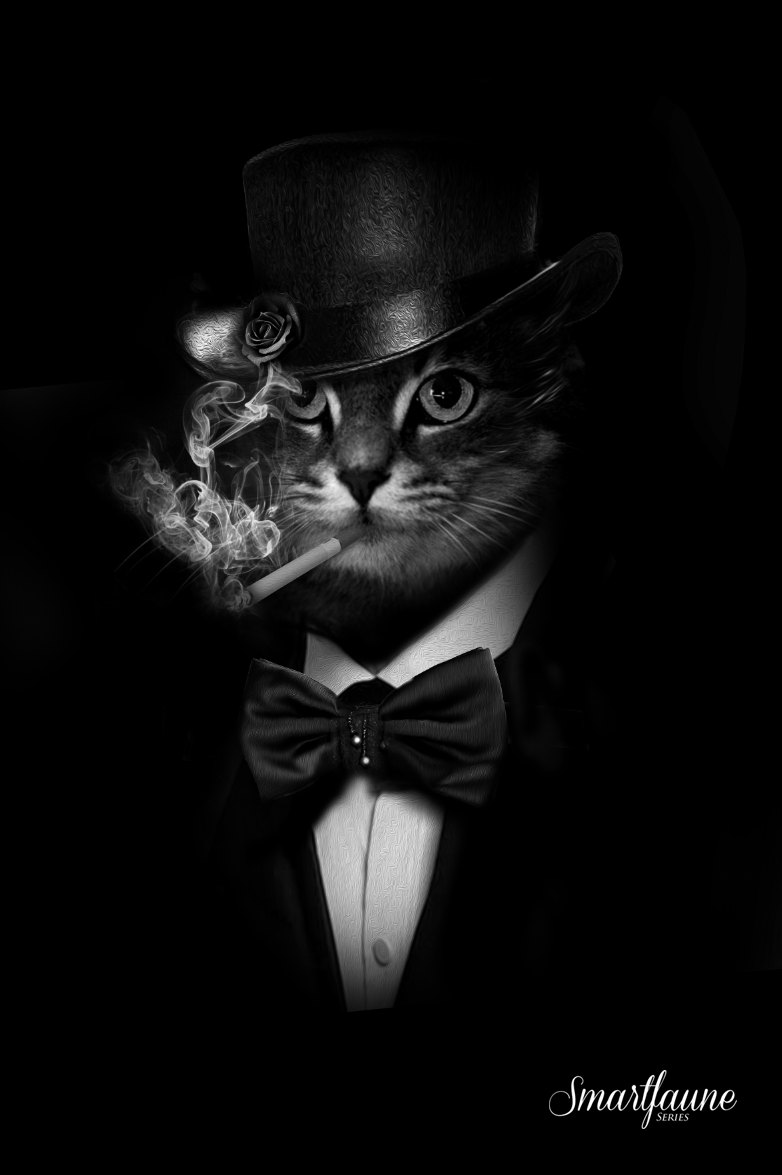 Кот в пиджаке и галстуке арт - 67 фото