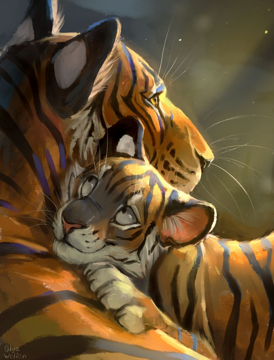 тигр и тигрица арт