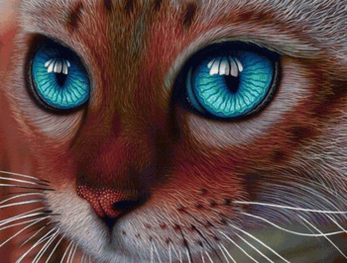 Кошачьи глаза арт красками - 68 фото