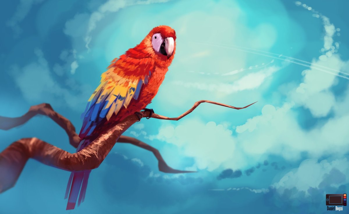 Арт летающего попугая
