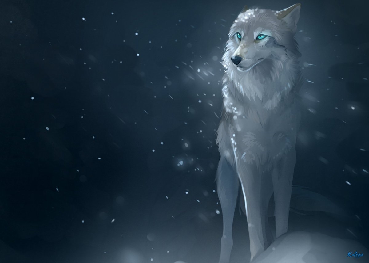 Белый волк арт с серыми глазами