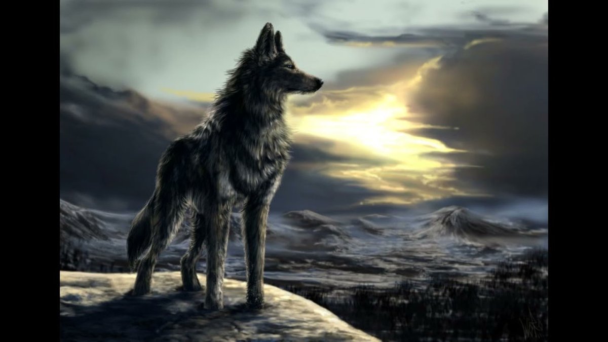 Одинокие волки арт