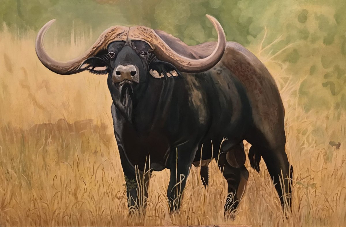 Африканский буйвол арт