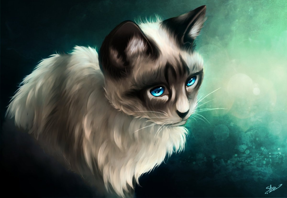 Белый кот с синими глазами арт