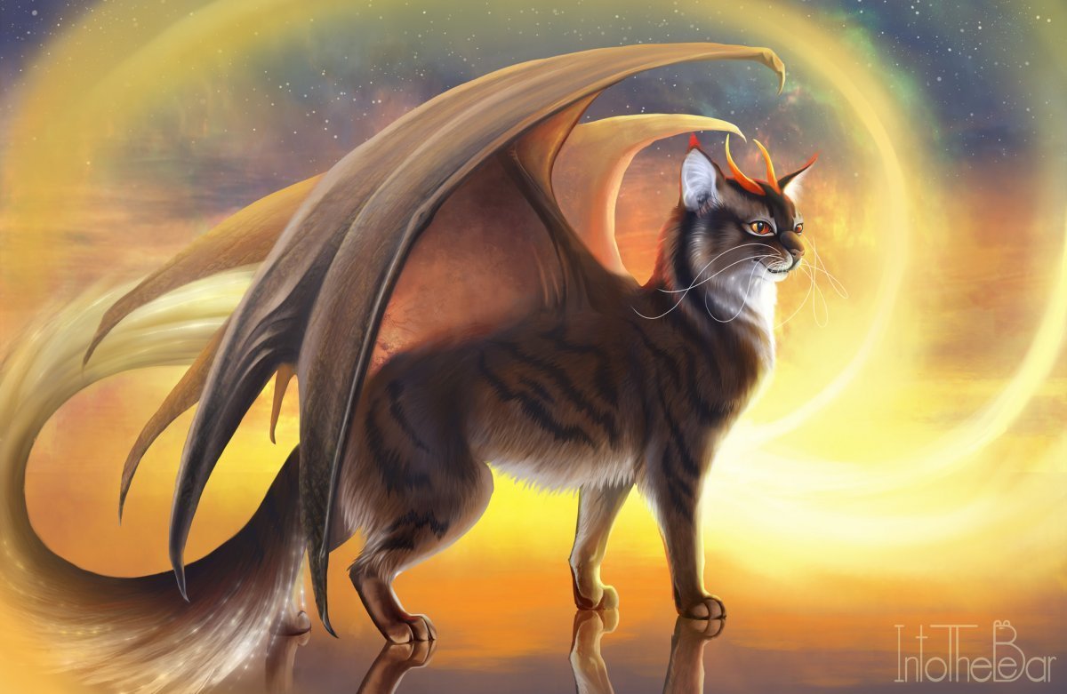 кот с крыльями дракона арт