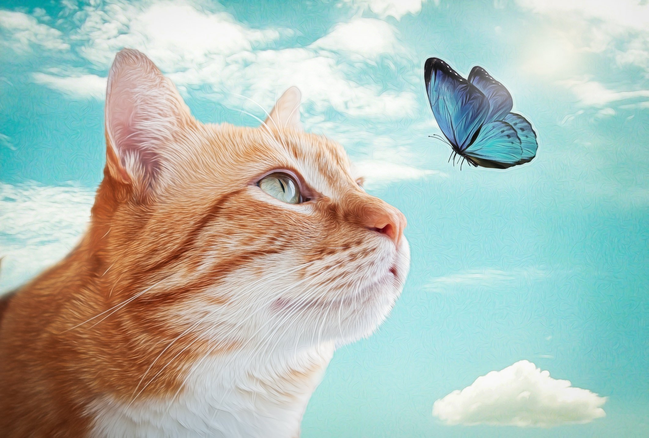 Хейер Артур «Белая кошка и две бабочки»