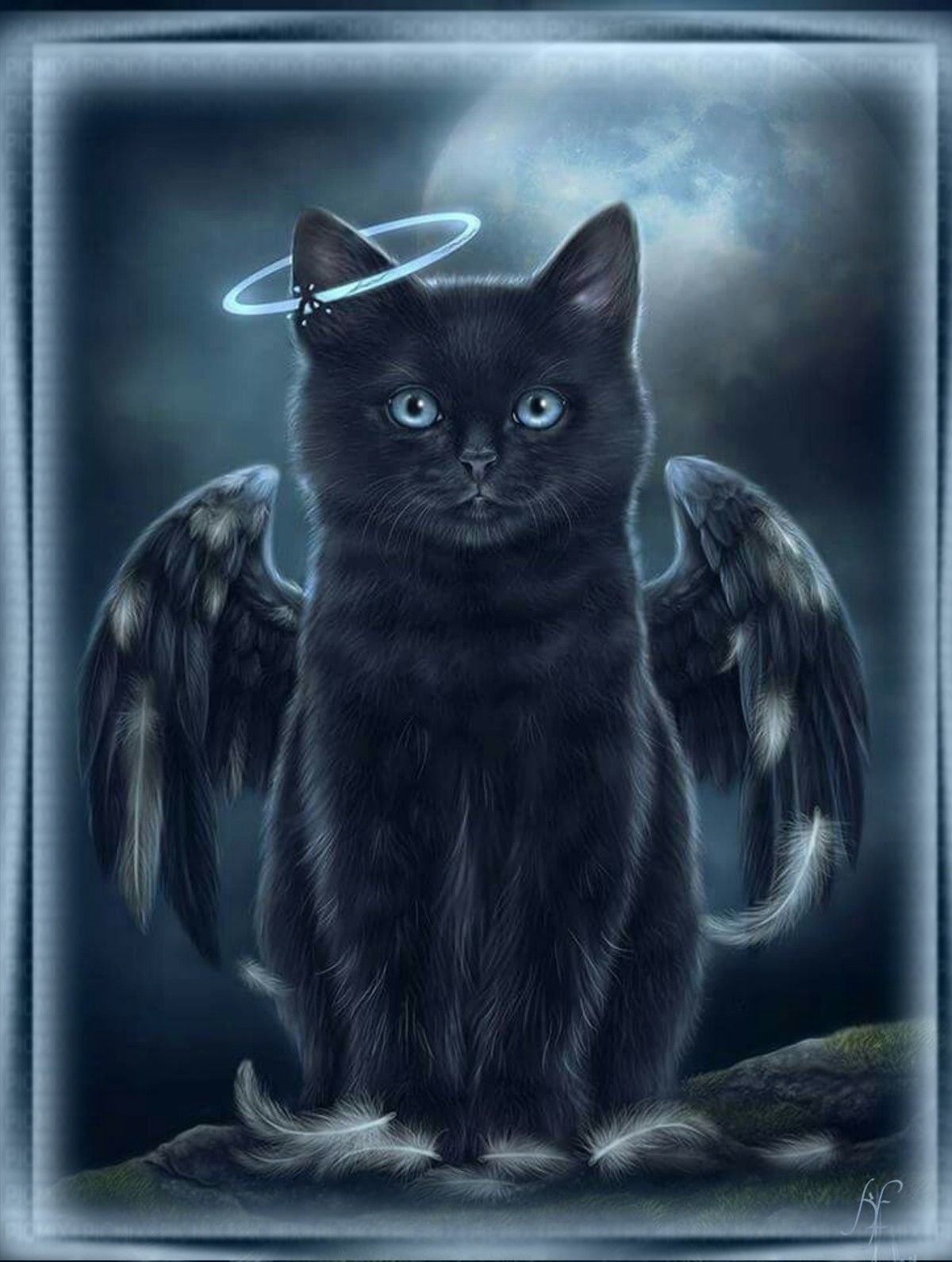 Черная кошка с крыльями арт - 75 фото