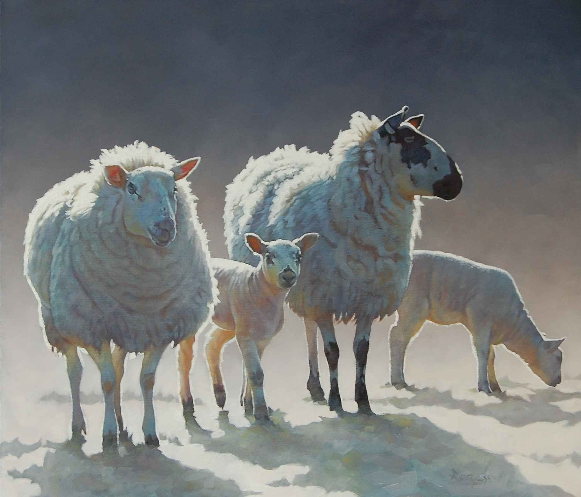 100 000 изображений по запросу Овцы стриженый доступны в рамках роялти-фри лицензии