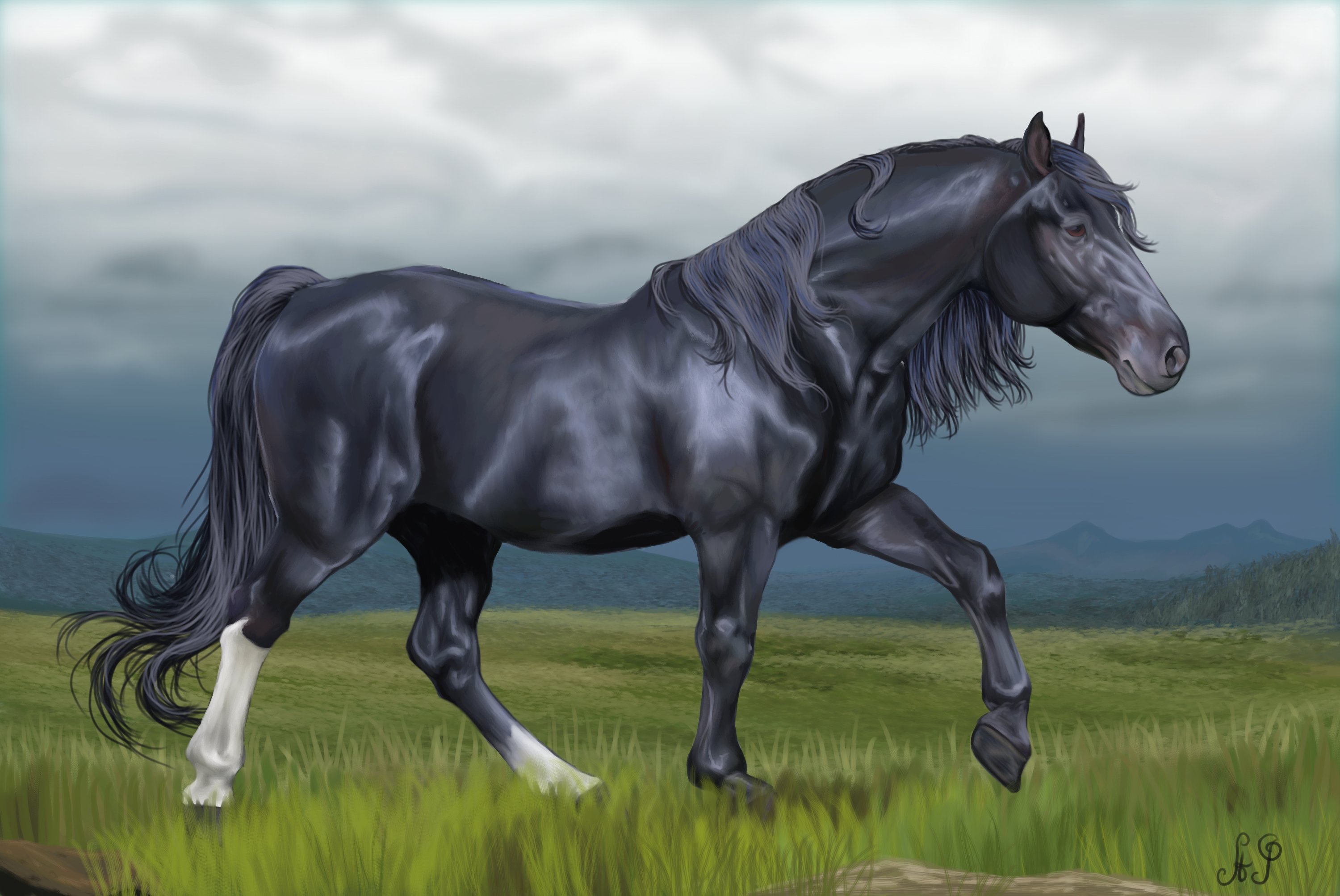 Черный про лошадей. Вороной Мустанг иноходец. Черный конь. Арты лошадей. Красивые арты лошадей.