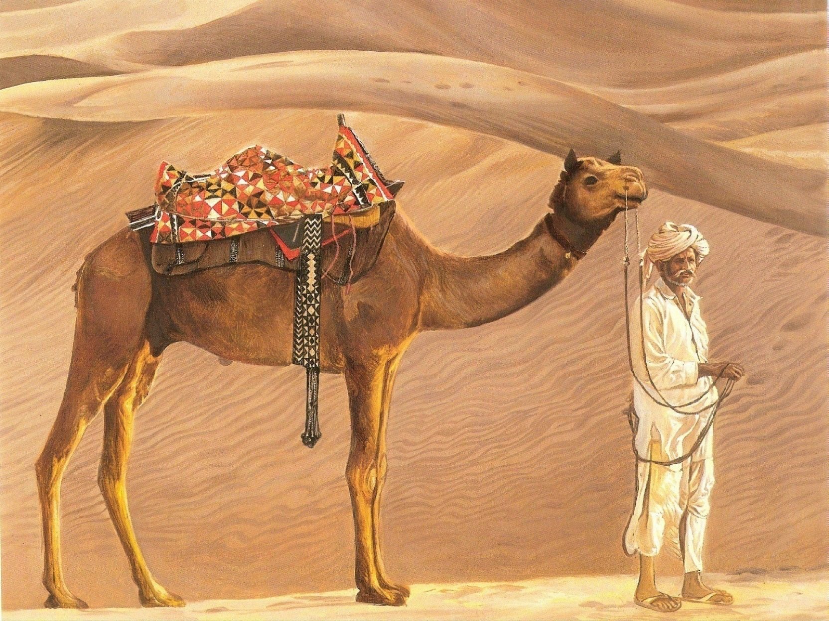 Караван пришел. Мехари верблюд. Бедуин на верблюде. Бедуины Караван живопись. Бедуины в Египте.