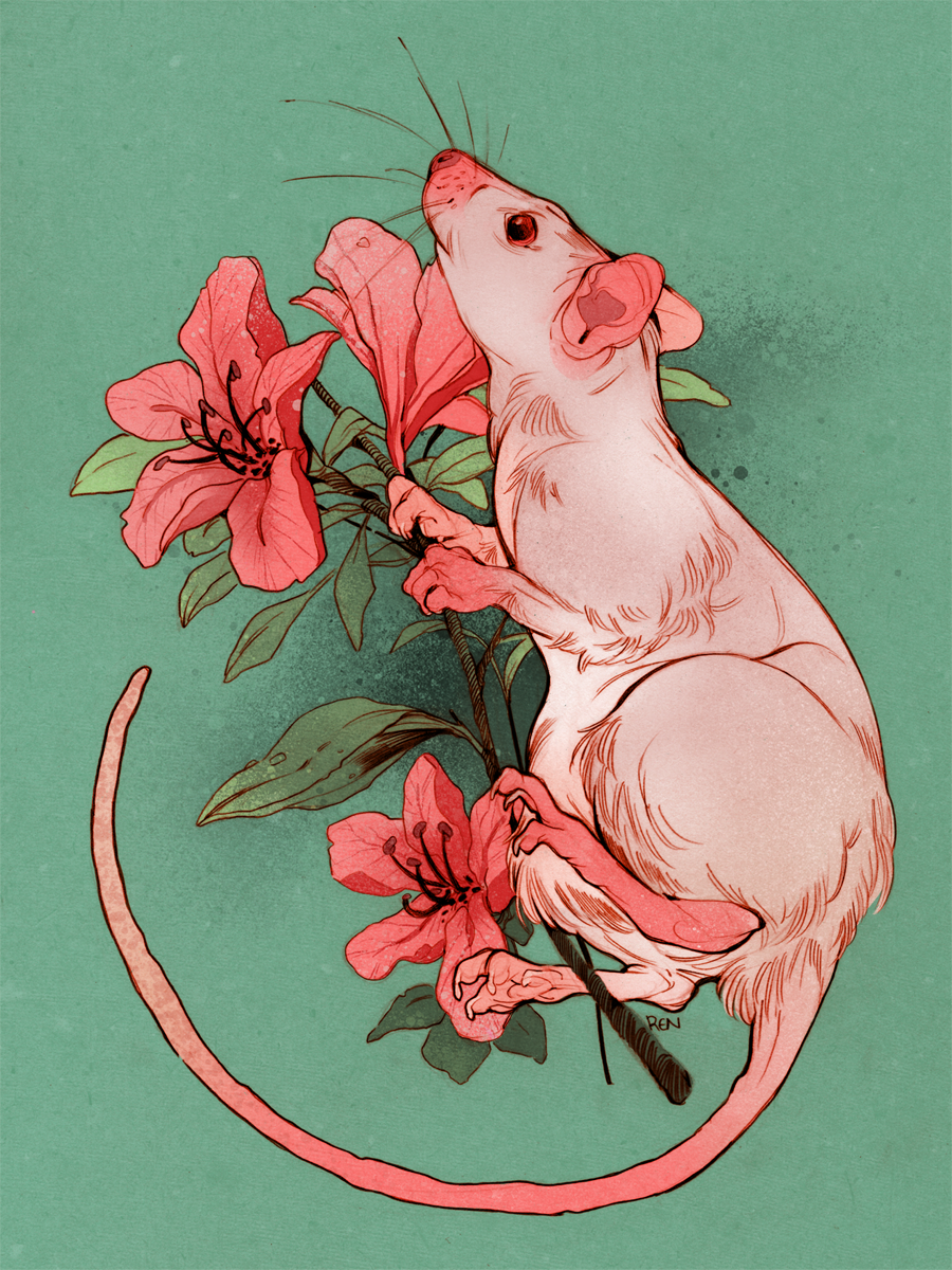 арт крыса цветы