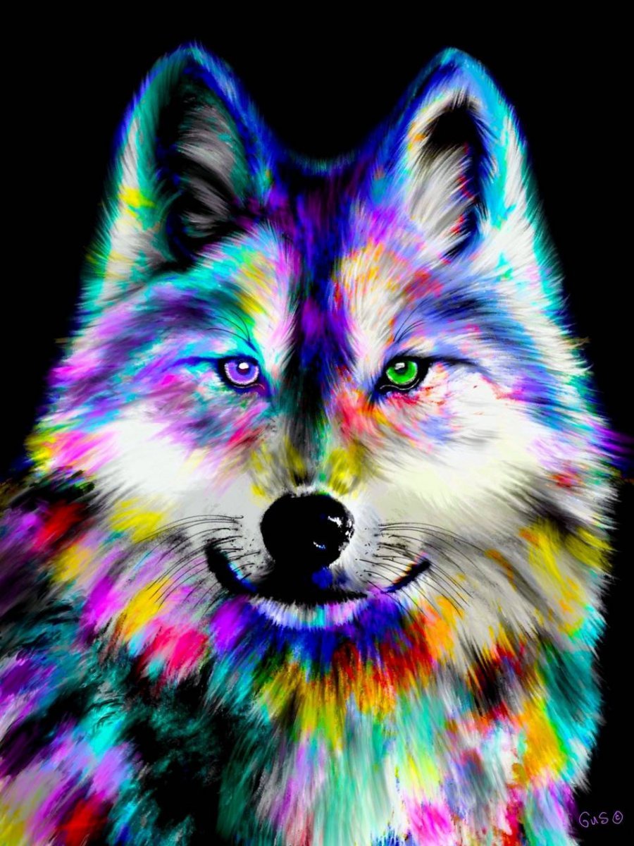 глаза радуга волк арт