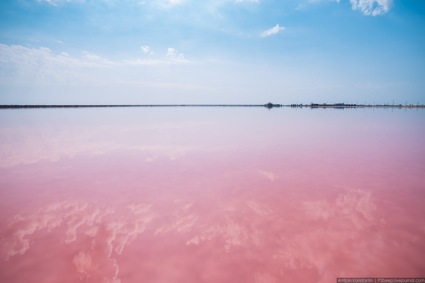 Розовый водоем в крыму. Озеро Сасык Саки. Сасык Сиваш озеро. Сасык-Сиваш Евпатория. Озеро Сасык-Сиваш, Крым, Евпатория.