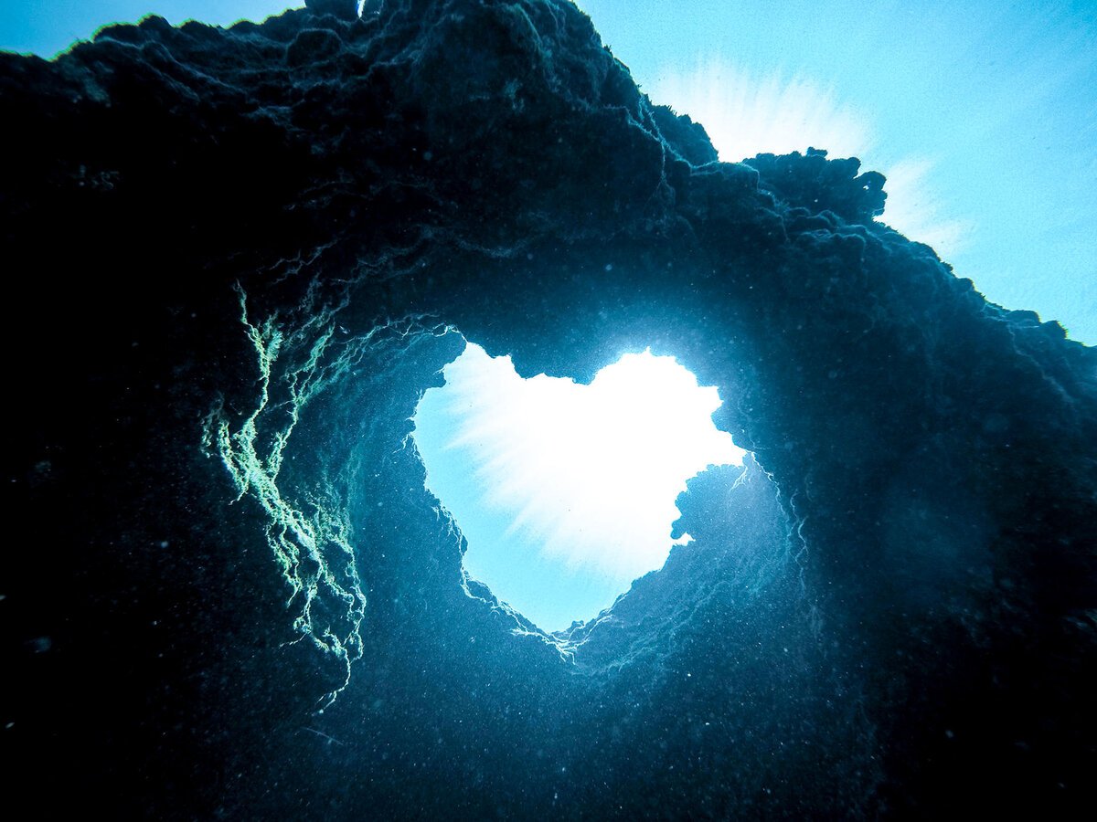 Сердце океана