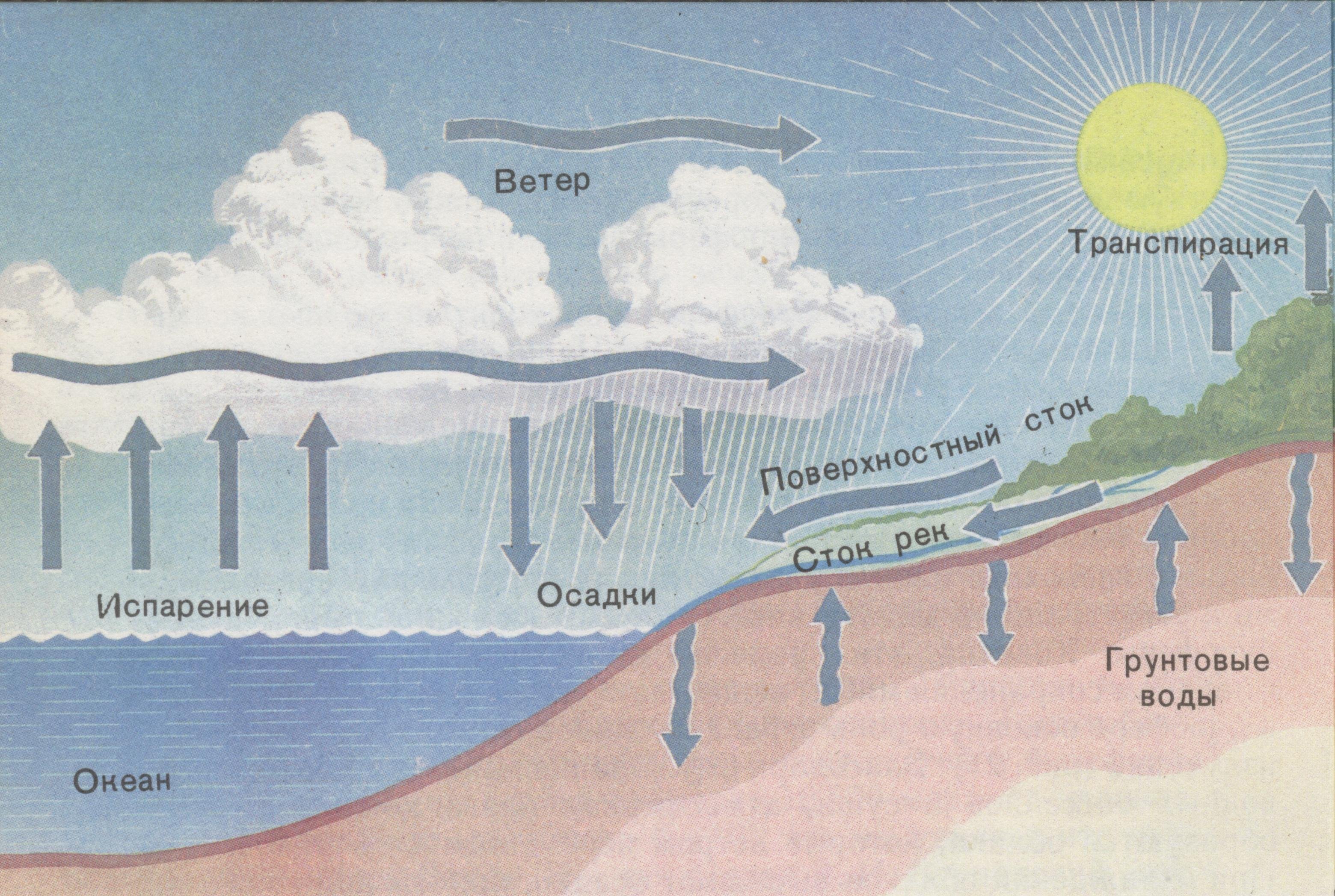Воздух в сравнении с водой. Движение воздуха в природе. Схема образования ветра. Возникновение ветра. Круговорот воды в природе.