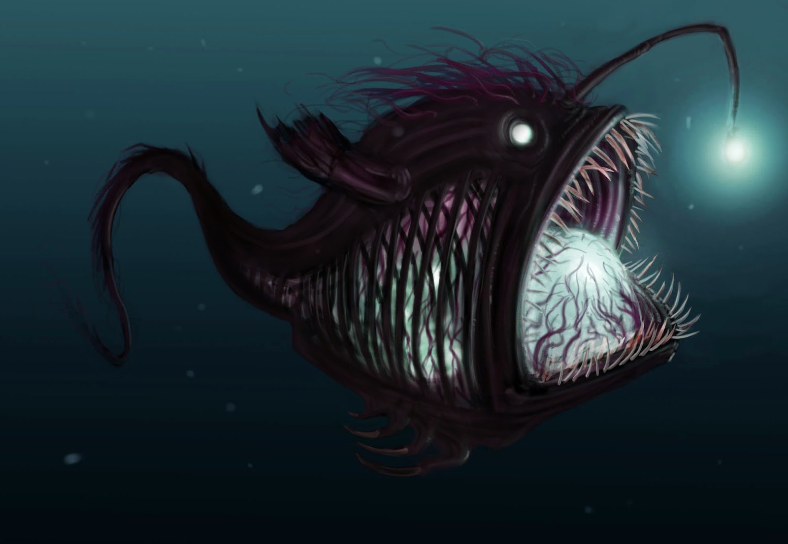 Scary fish. Глубоководная рыба удильщик. Глубоководный удильщик (морской дьявол). Рыба удильщик Немо. Морские чудовища рыба удильщик.