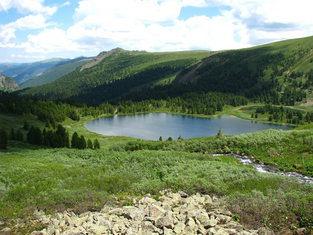 Озеры алтая. Озеро Манас Алтай. Озеро Манас горный. Манас озеро в Горном Алтае. Озеро Коккель горный Алтай.