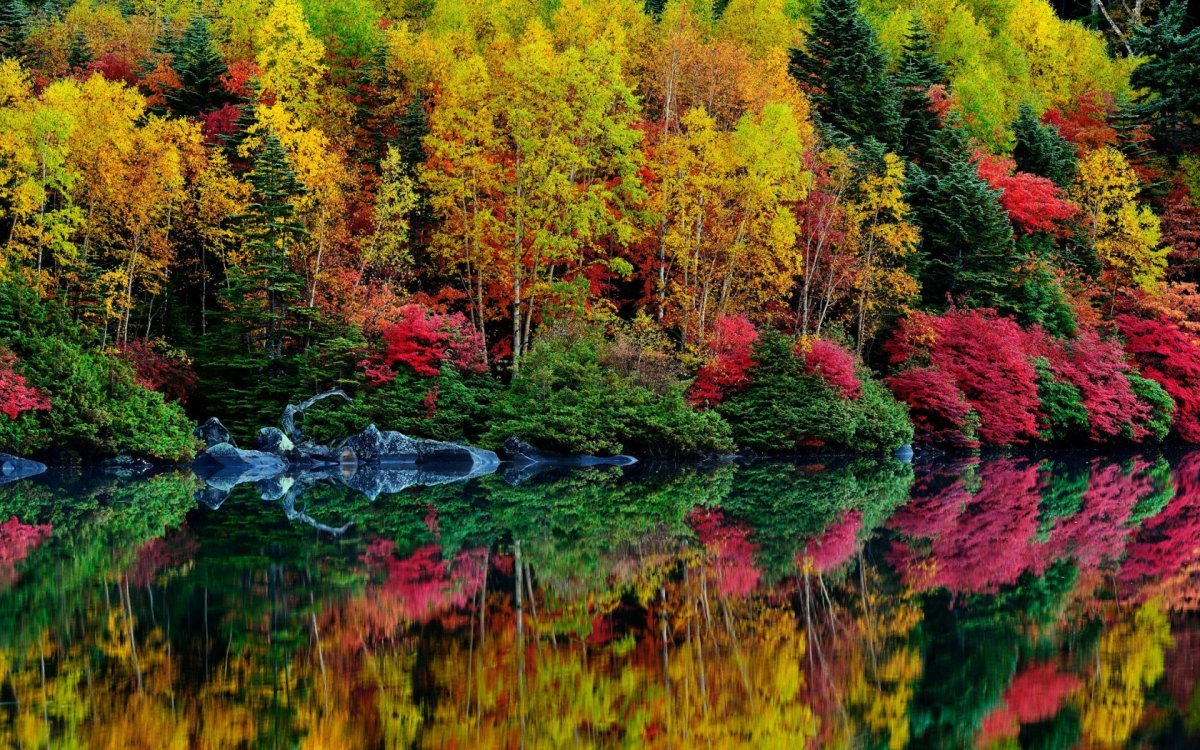 Осенняя природа - 75 фото