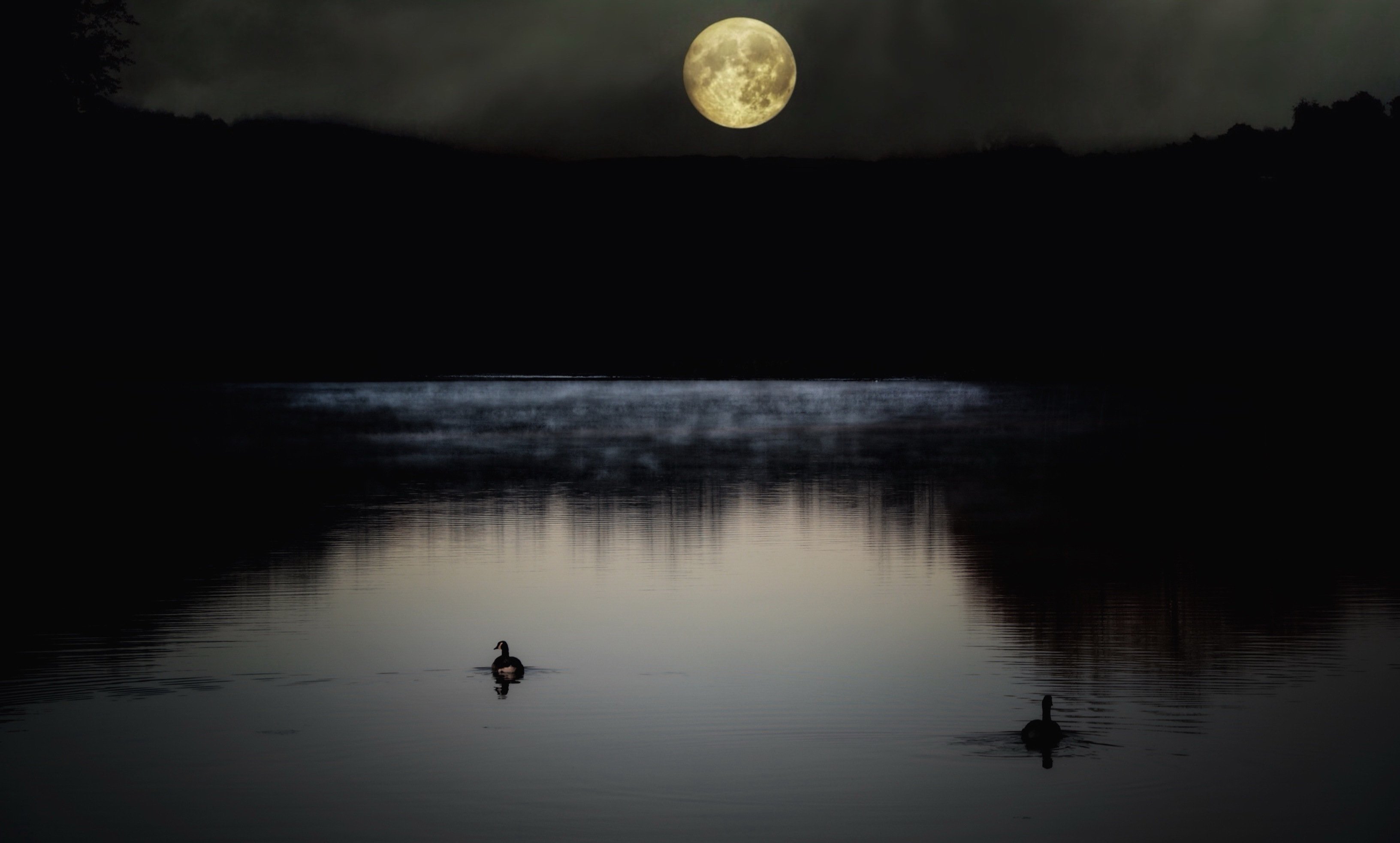 Луна купается. Озеро ночью. Ночь озеро Луна. Луна река. Река ночью.