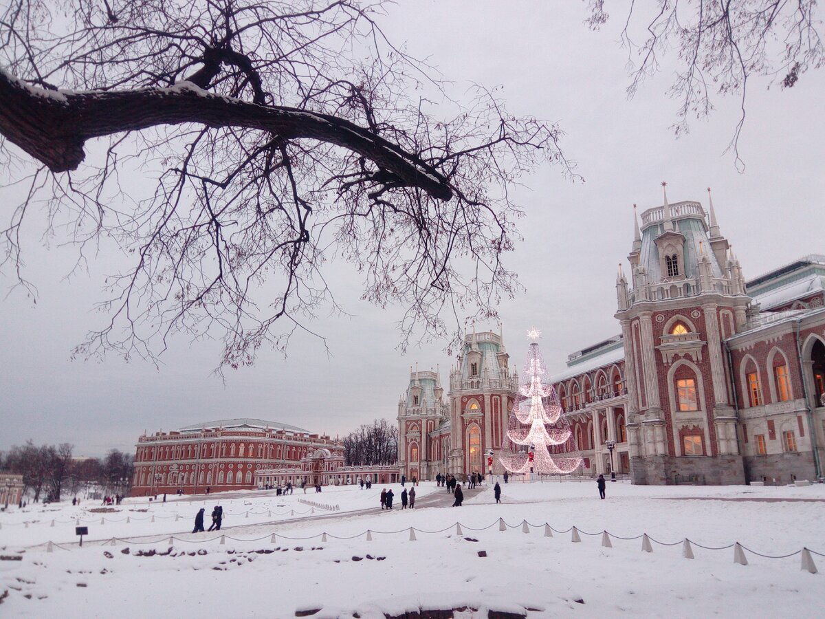 Москва какой будет зима. Царицыно музей-заповедник зимой. Парк Царицыно зимой 2021. Усадьба Царицыно зимой. Музей заповедник Царицыно в Москве зимой.