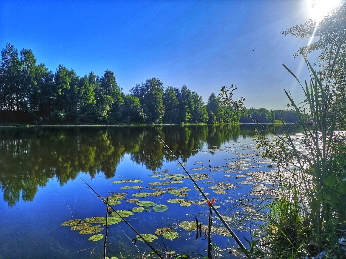 Костромские реки и озера