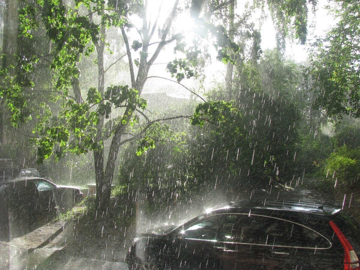 Ближайшее время дождя. Летний ливень. Лето дождь. Сильный дождь. Ливневые дожди.