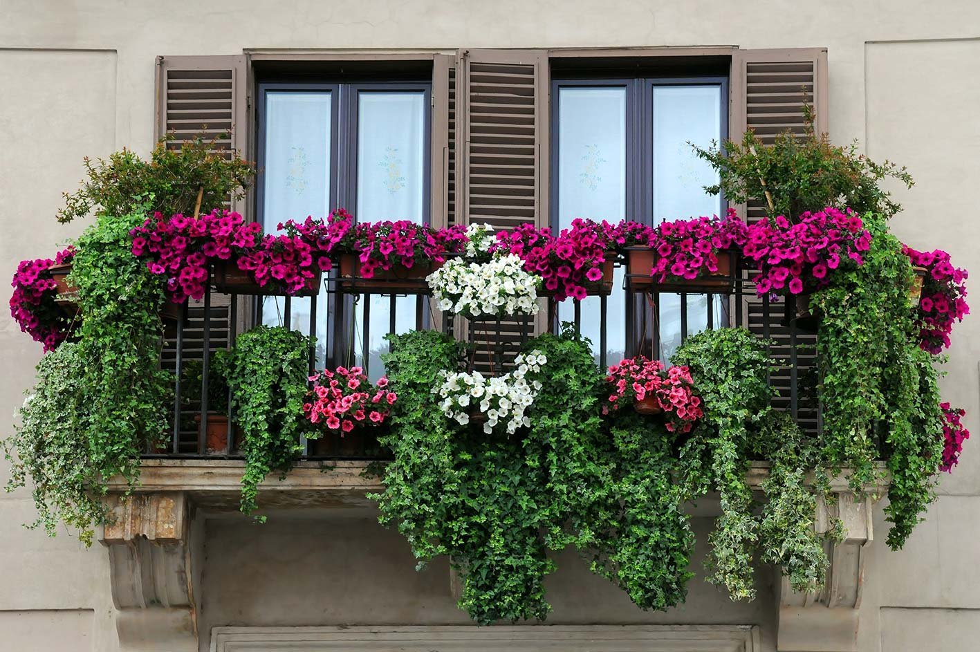 Если у вас нет дачи: как оформить цветник на балконе своими руками