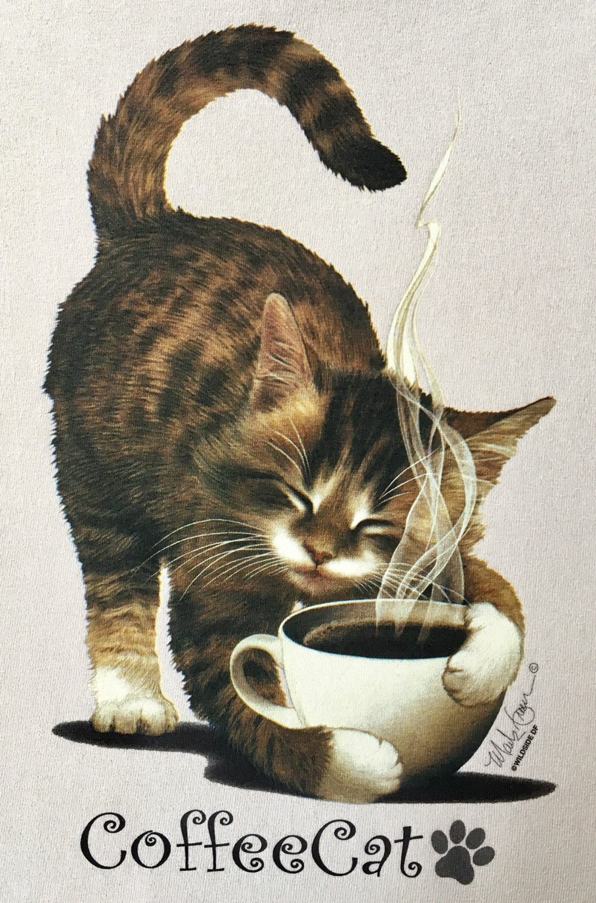 Ктом. Котик с кофе. Доброе утро кот. Котенок с кружкой кофе. Доброе утро котики и кофе.