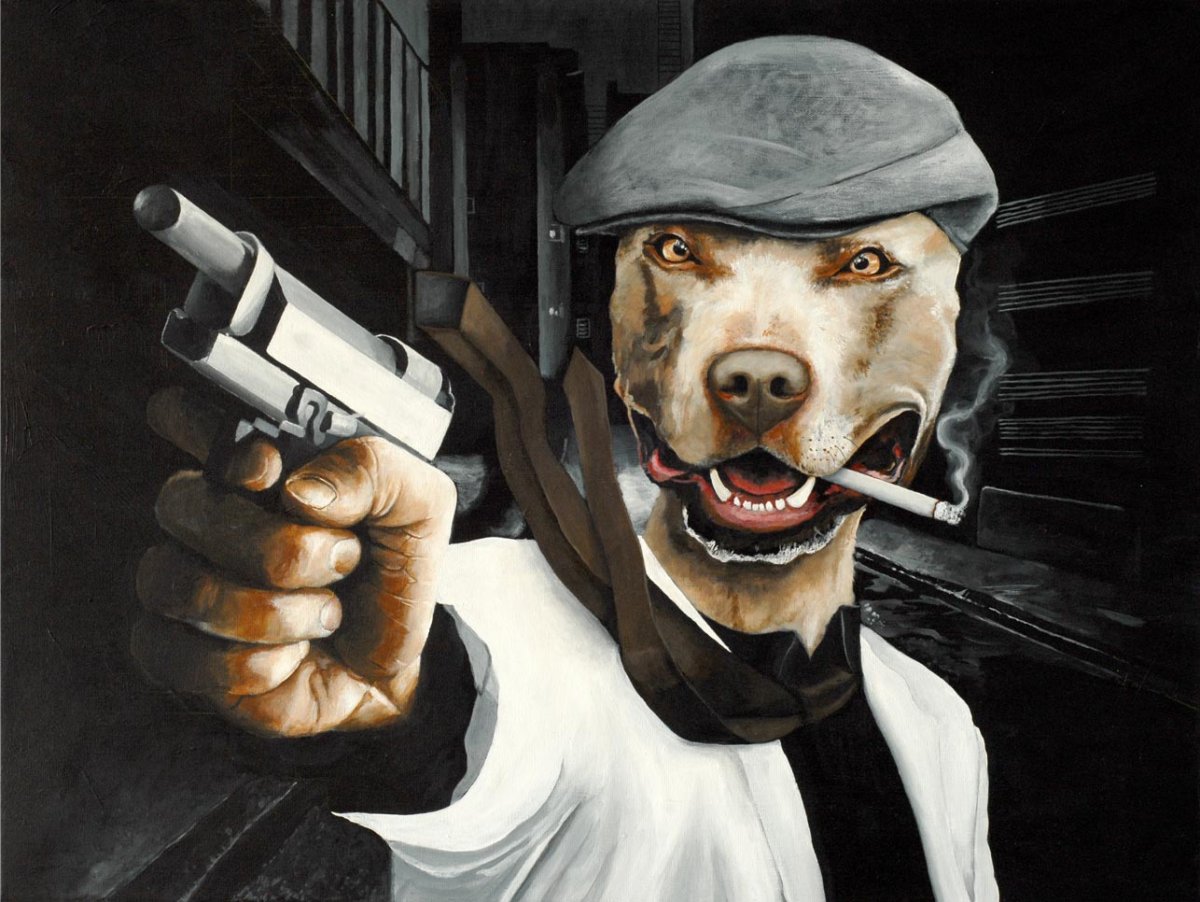 Пес бандит. Собака гангстер. Собака бандит. Собака мафиози. Пес гангстер.
