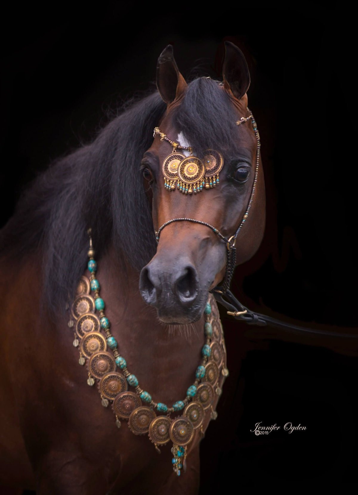 Пряжки и серебряные украшения для лошадей