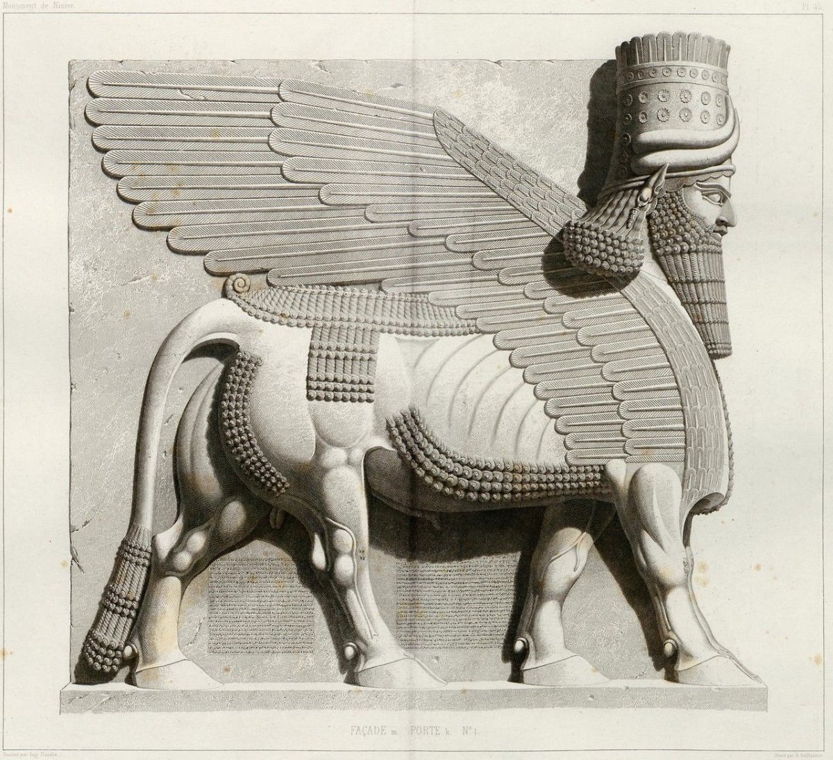 Крылатый бык. Ламассу Ассирия. Шеду из дворца Саргона 2. Шеду Ассирия. Шеду Ассирия скульптура.