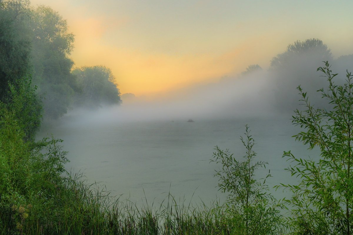 Над рекой поднялся туман текст. Туман стелется. Густой туман. Туманное утро. Дымка над озером.