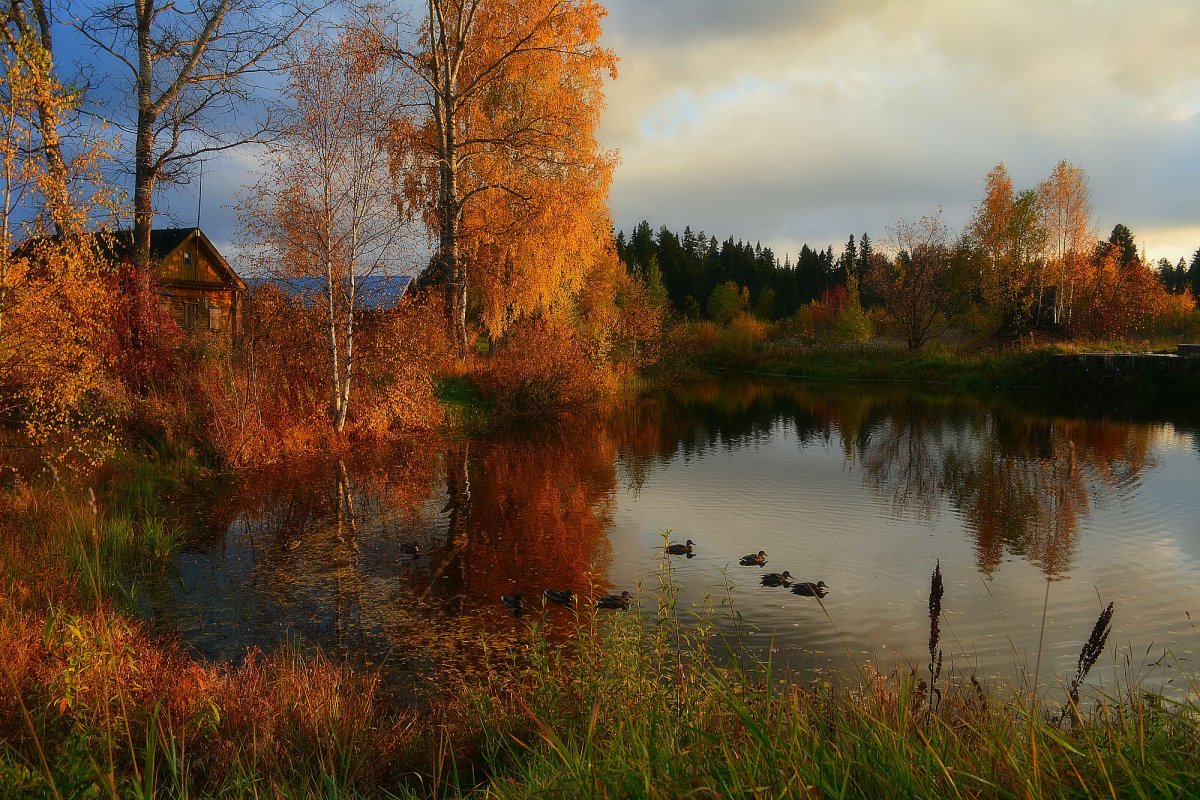 Осень в России - 76 фото