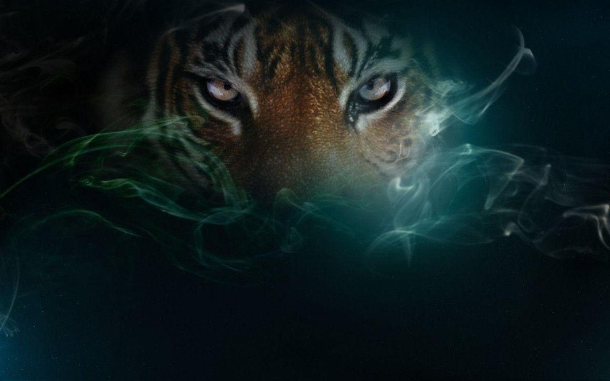Тигрица в ночи арт - 60 фото