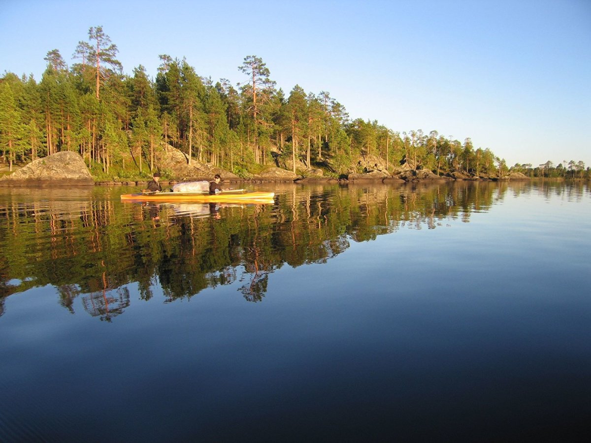 Информация о живом озере в Дмитровском районе: расположение, особенности, условия для рыбалки