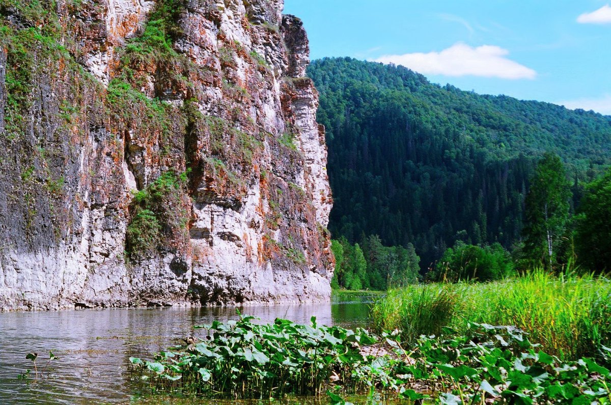 Река Зилим Башкортостан - 80 фото