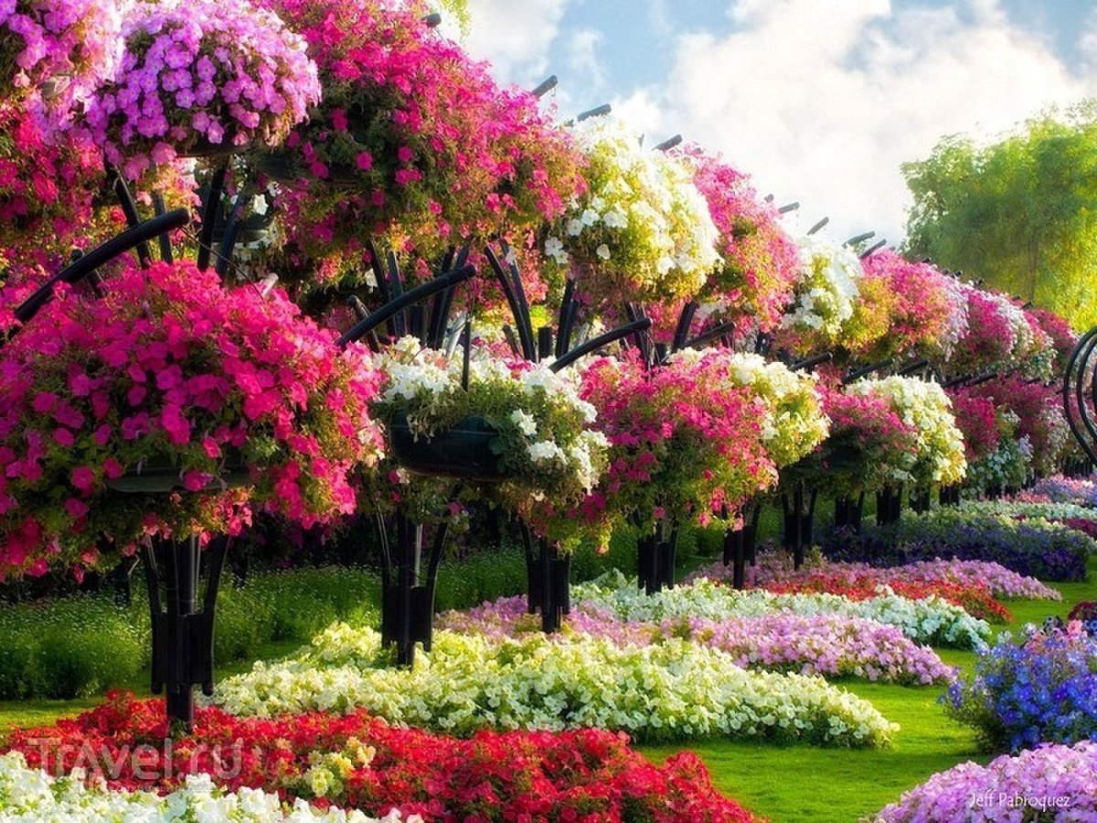 Цветочный рай