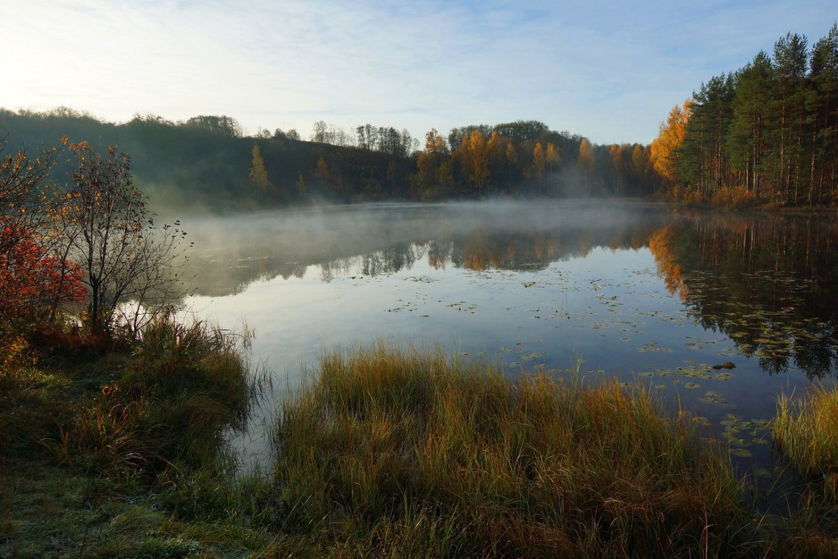 Чайное озеро в Токсово - 76 фото