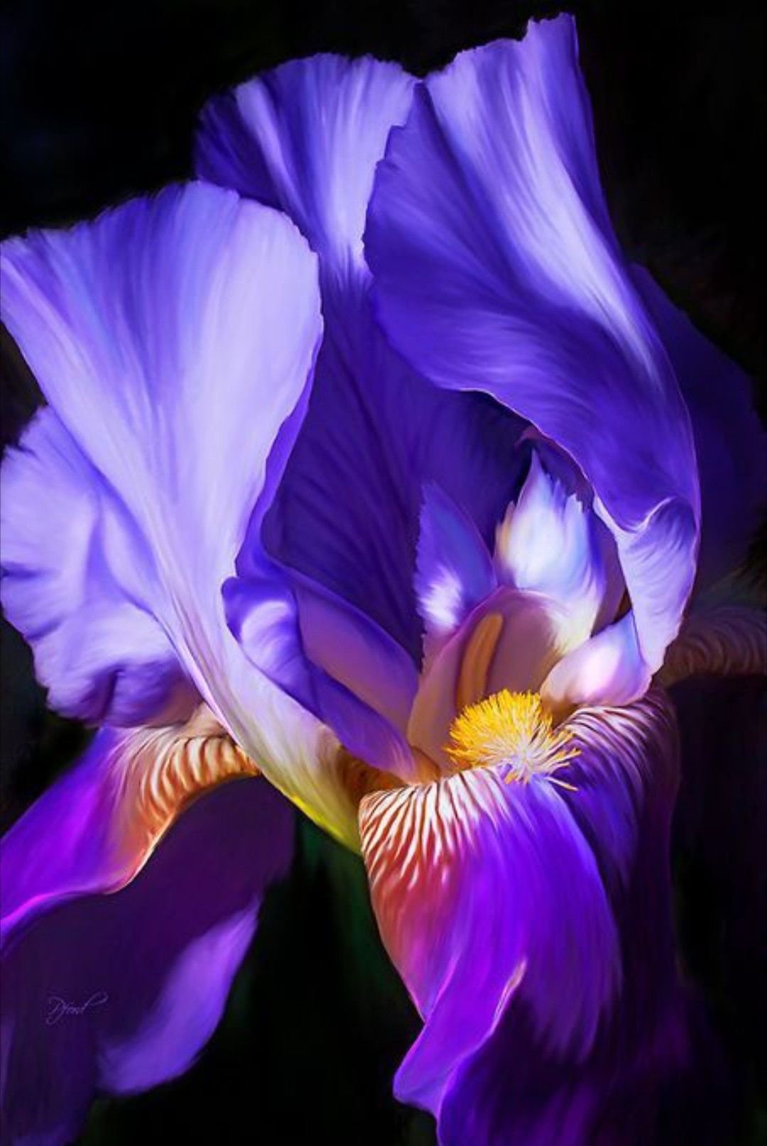 Фиолетовые ирисы букет - 70 фото