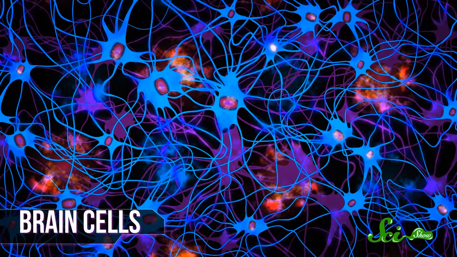 Нейронные связи. Нейронная сеть мозга. Нейронные связи в мозге. Нейросеть головного мозга. Нейро системы